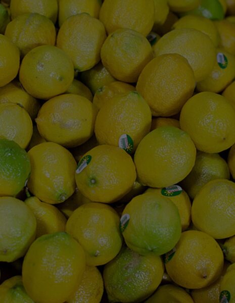 Citrus-fruit-min